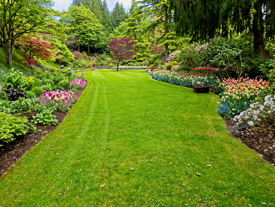 giardino erba sintetica