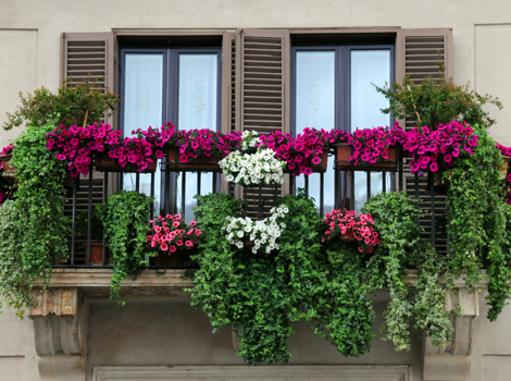 giardini per balconi