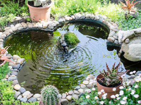 giardino con laghetto