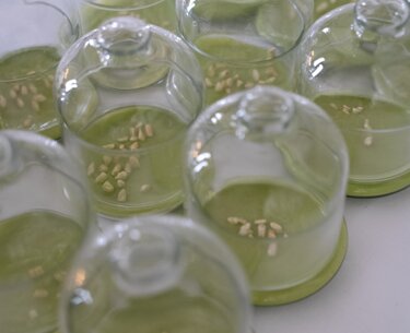 catering per matrimoni