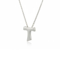 gc_tau catenina copia.jpeg