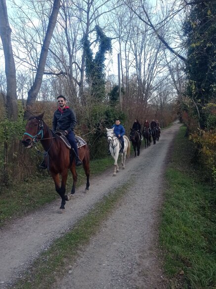 5e9180a757cf9552226ca509c346e5286dc1d874