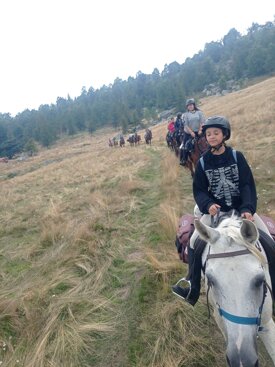 7d2fccf8f49f6bf9f3705525550b1e4593f05b3a