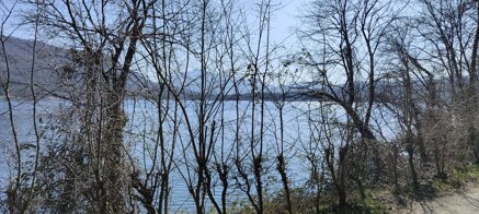 8ac0e03a81f4c3ab35ec3dae8cb47ad7d8dcae54