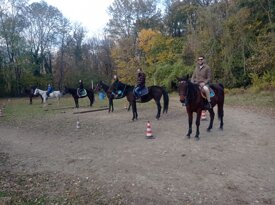 d18847d7a1378dcb44e0f6703ce4a20c3b53f2bd