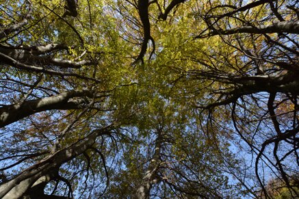 b71a73e8ccde38e634faee4c6d32935b2dd0bbb8