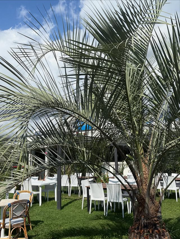 screenshot 2026-03-31 at 10-12-17 instagram