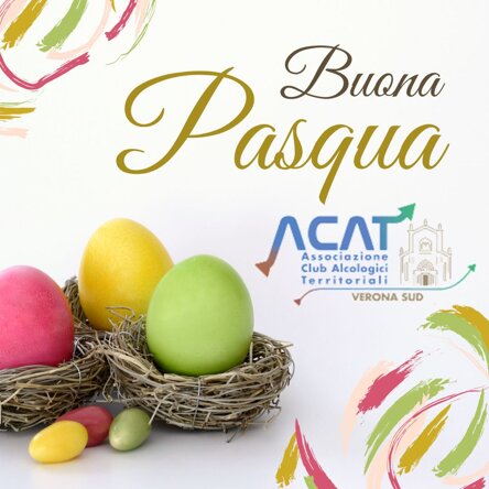 whatsapp image 2026-04-03 at 08.19.44 (1).jpeg