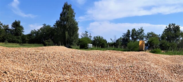 20220709_170206 (3).jpeg