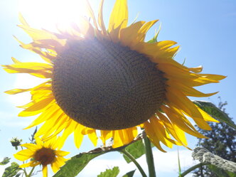 7a0891ad93ff85ca0f6e0c7b5bd99d8bd08b125e