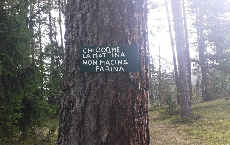 chi dorme la mattina.....jpeg