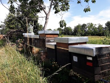 20220709_153535 (2).jpeg