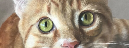 1ebcea05619651a0e37378307ab2ff207d861053 1ebcea05619651a0e37378307ab2ff207d861053