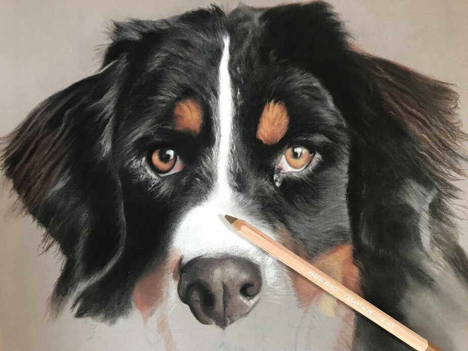 53c59fdff5da7470f7bc7be50ee023084d23d48c 53c59fdff5da7470f7bc7be50ee023084d23d48c