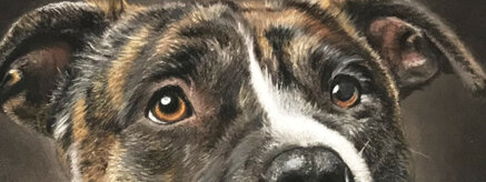 5bb9b9e55a71cea05a2a688317e0f579a7be9a44 5bb9b9e55a71cea05a2a688317e0f579a7be9a44