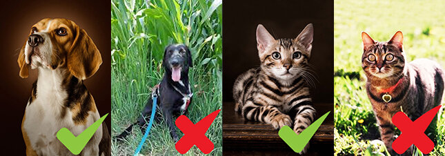 76563eb2a6e56c4f178277e5919c2f60f7863d53