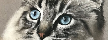 d696a6710cdd672371522b601dab83cbc74ef223 d696a6710cdd672371522b601dab83cbc74ef223