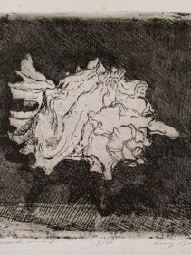 Fig. 3 La grande conchiglia