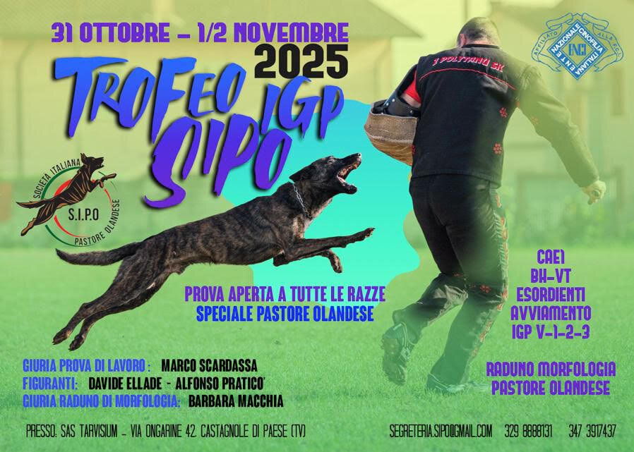 Alpha Stripes al Trofeo Sipo IGP Alpha Stripes al Trofeo Sipo IGP