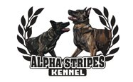 aplhastripes_logo_colore_page-0001.jpeg