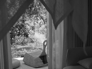 img_9829.jpeg