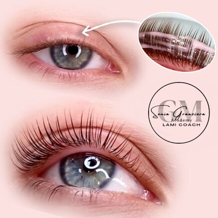 1ec667b1ed334f33b908eaa232c404c2d5ddd382