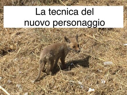 819ea94c9fa34cf2ad537d81e937d05e3c4360c3
