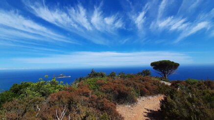 d5ca193a0913802ae7b88a4b1e83f4416ce74205