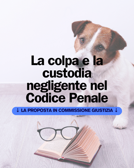 a0ccaad1214629e2e4774324bdf3ef1d432ad9cf
