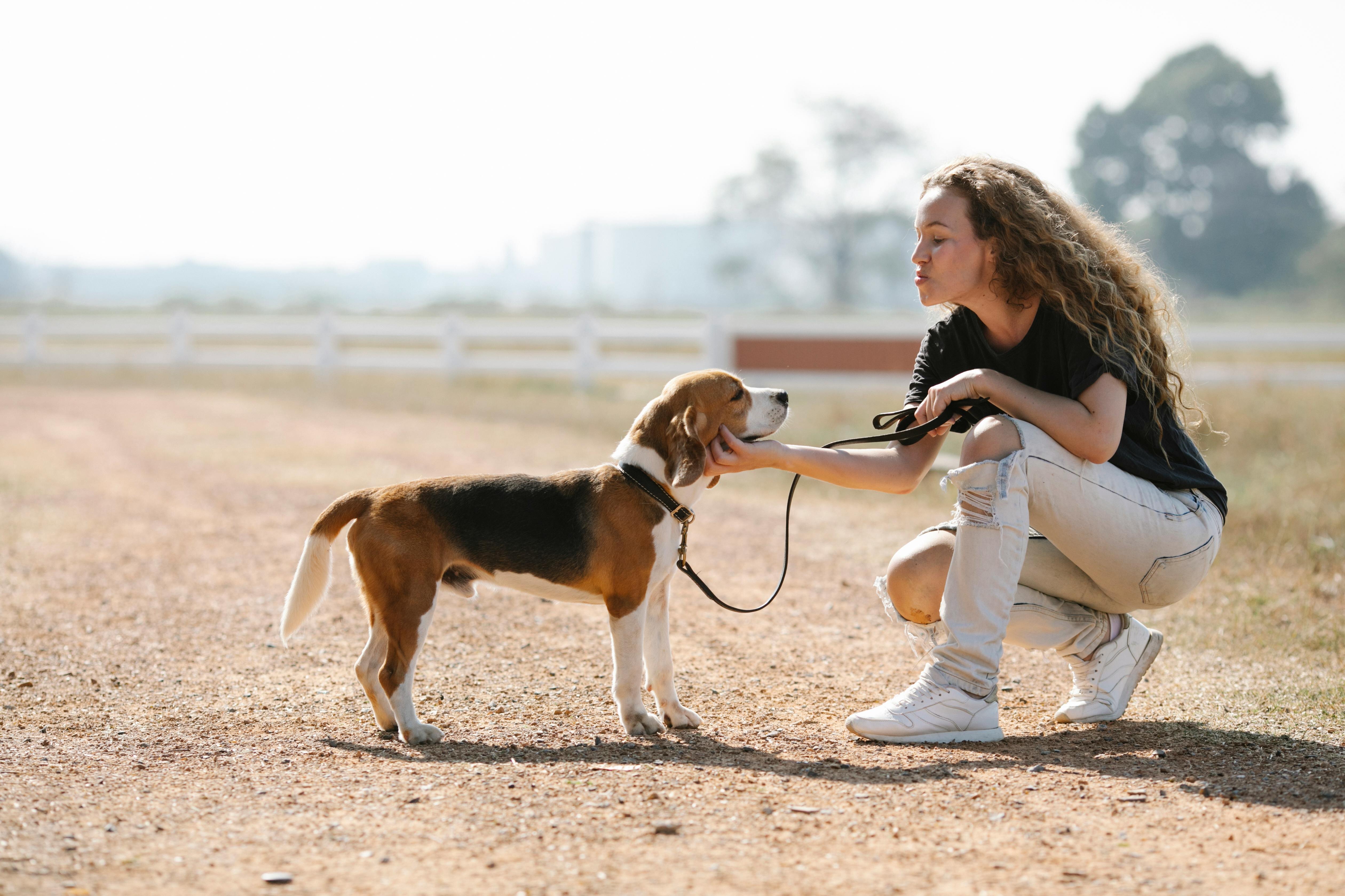 Benessere animale = benessere della collettività