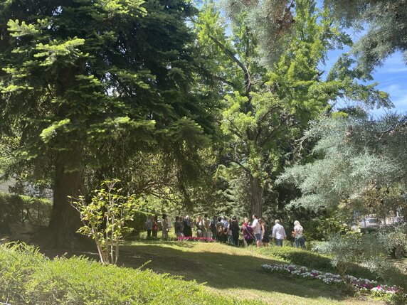 d2c20187-6483-42a2-a2e7-3d0064143fc5.jpeg