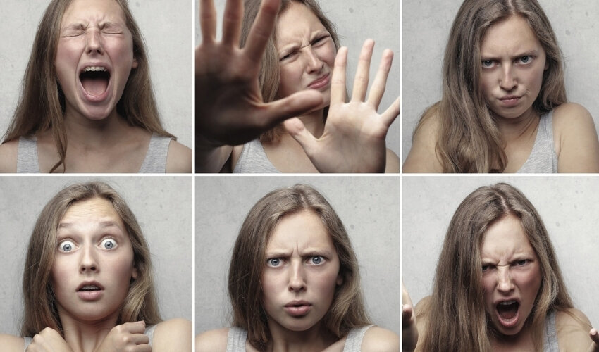 Fino all&rsquo;ultima gabbia, fino all&rsquo;ultimo muro!