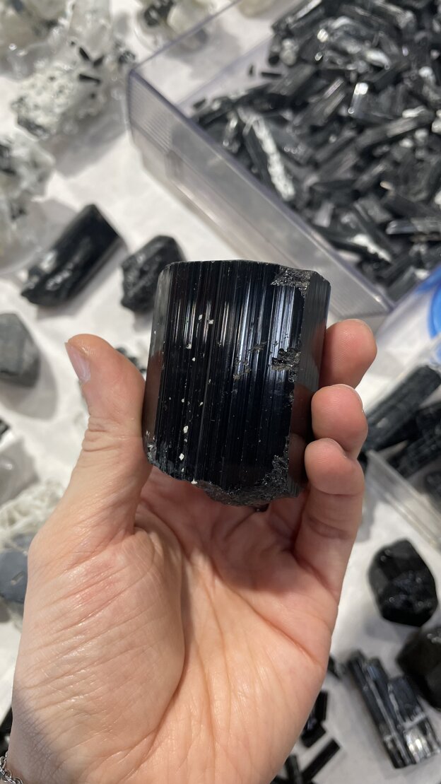 Momenti della fiera di Verona