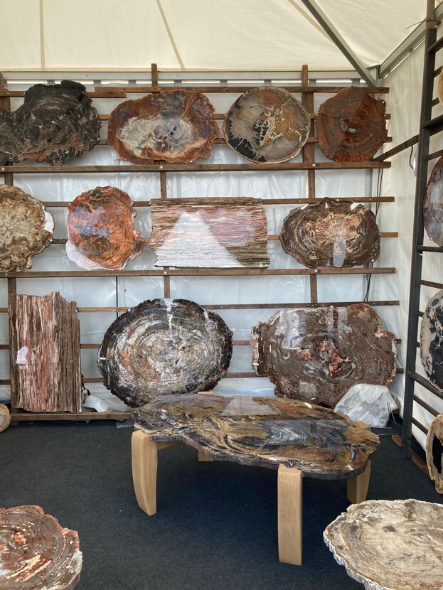 Momenti della fiera di Sainte Marie aux Mines