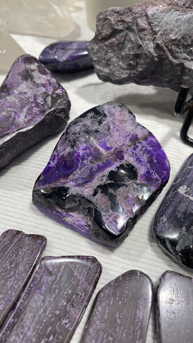 Momenti della fiera di Verona