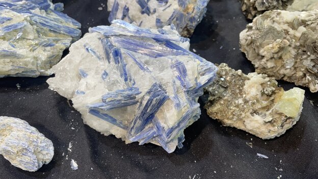 Momenti della fiera di Verona