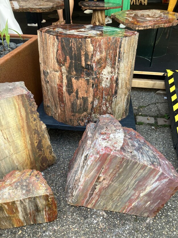 Momenti della fiera di Sainte Marie aux Mines