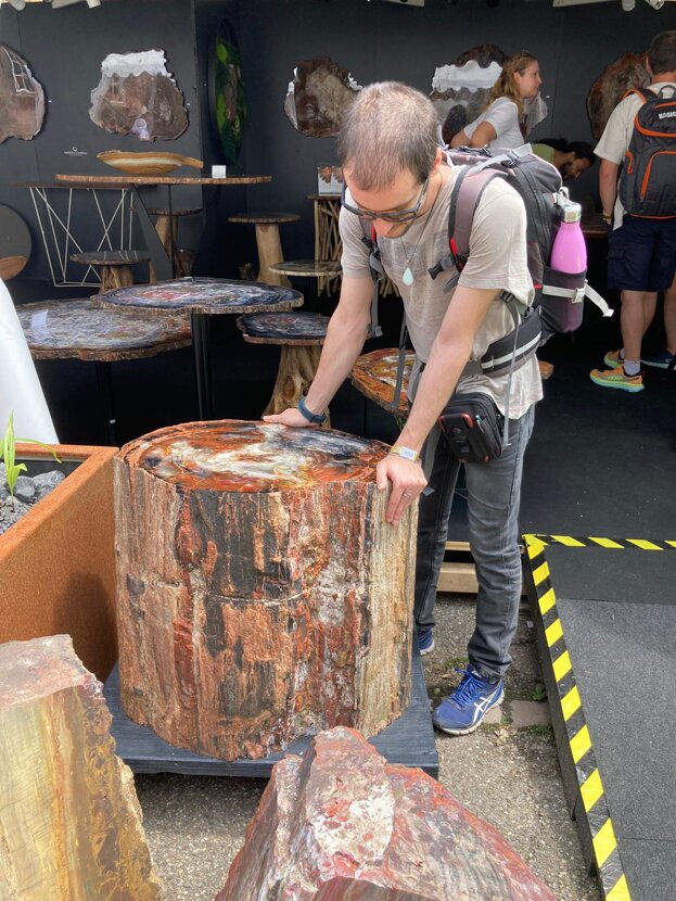 Momenti della fiera di Sainte Marie aux Mines