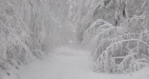 2e8b66e68a691ce26b491ca8a4e430d2d177a295