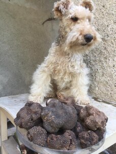 2c9f393e24aff4d0570fec566a8212b86b5d49c0