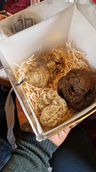 2e8b66e68a691ce26b491ca8a4e430d2d177a295