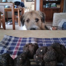 40d2926b39004fe94094e90156be3feff60b864d