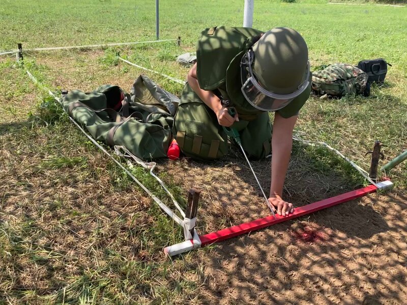 Fig. 5: Attivit formative svolte durante il corso