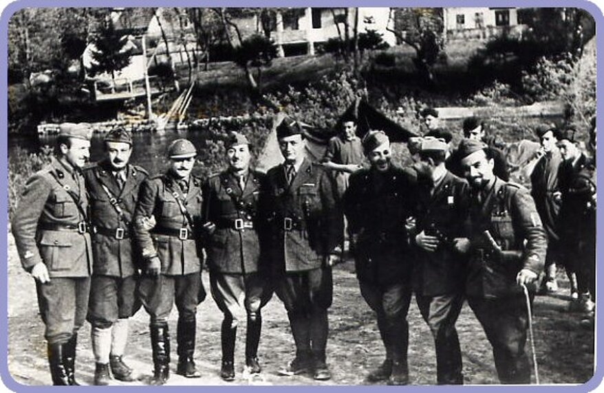 6e3dd944-95b8-4d90-a38e-ddab07e39cbe