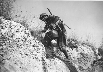 dcbb3ed2-2203-4228-a26a-fcad7494e7a8