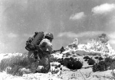 81e383e9-c3e5-4858-b86c-60c6c0faba44