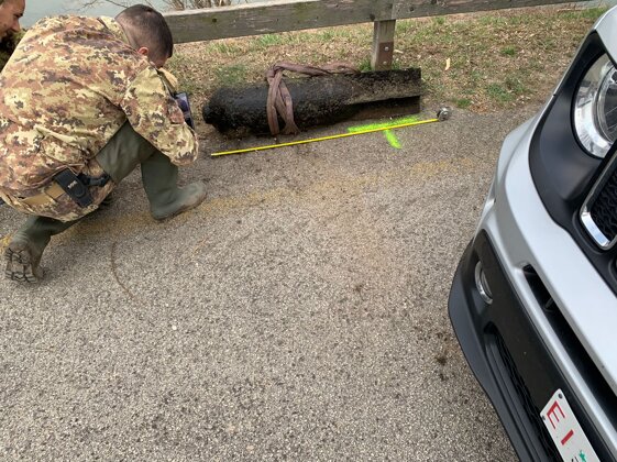 d98279e8-58ac-454b-85a2-d9d613c3fc63 d98279e8-58ac-454b-85a2-d9d613c3fc63