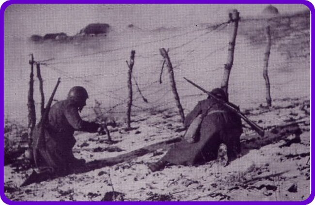 8a48fc87-01fb-4808-ba83-5ebfec0e42a0