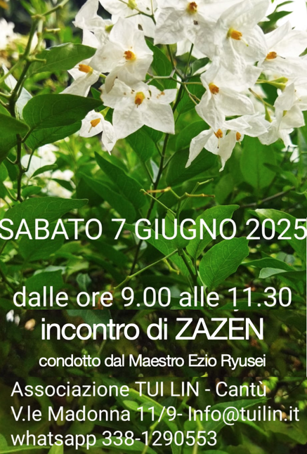 e182cd8476da3fbc902e691c36c54db5ca70bffc