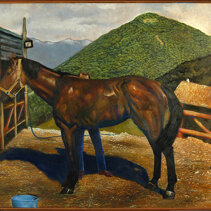 Autoritratto con cavallo, 1993-2004